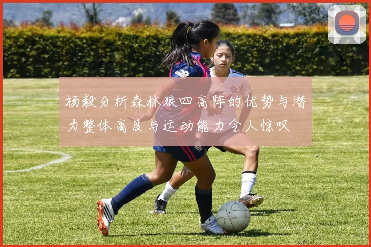 杨毅分析森林狼四高阵的优势与潜力整体高度与运动能力令人惊叹